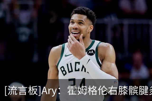 [流言板]Ary：霍姆格伦右膝髌腱炎恢复慢于预期，预计将缺席更长时间